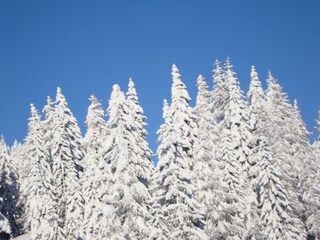 Chalet Sonnenalpe Nassfeld Umgebung 37