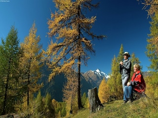 Appartement Sonnenalpe Nassfeld Omgeving 19