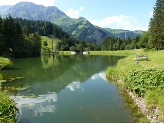 Apartamento Tröpolach Entorno 24