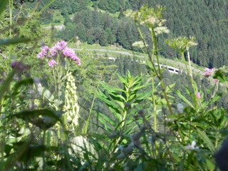 Appartamento Tröpolach Ambiente 24