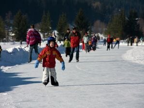 Appartement sur le lac Weissensee en Carinthie - Lac Weissensee - image1