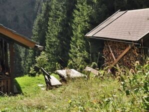 Gemütliches Chalet in Kolbnitz-Teuchl in Kaernten - Penk - image1