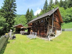 Chalet auf der Almwiese in Obervellach in Kaernten - Reißeck - image1