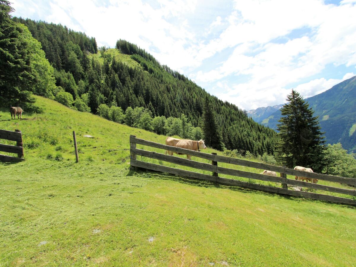 Chalet Reißeck Außenaufnahme 6