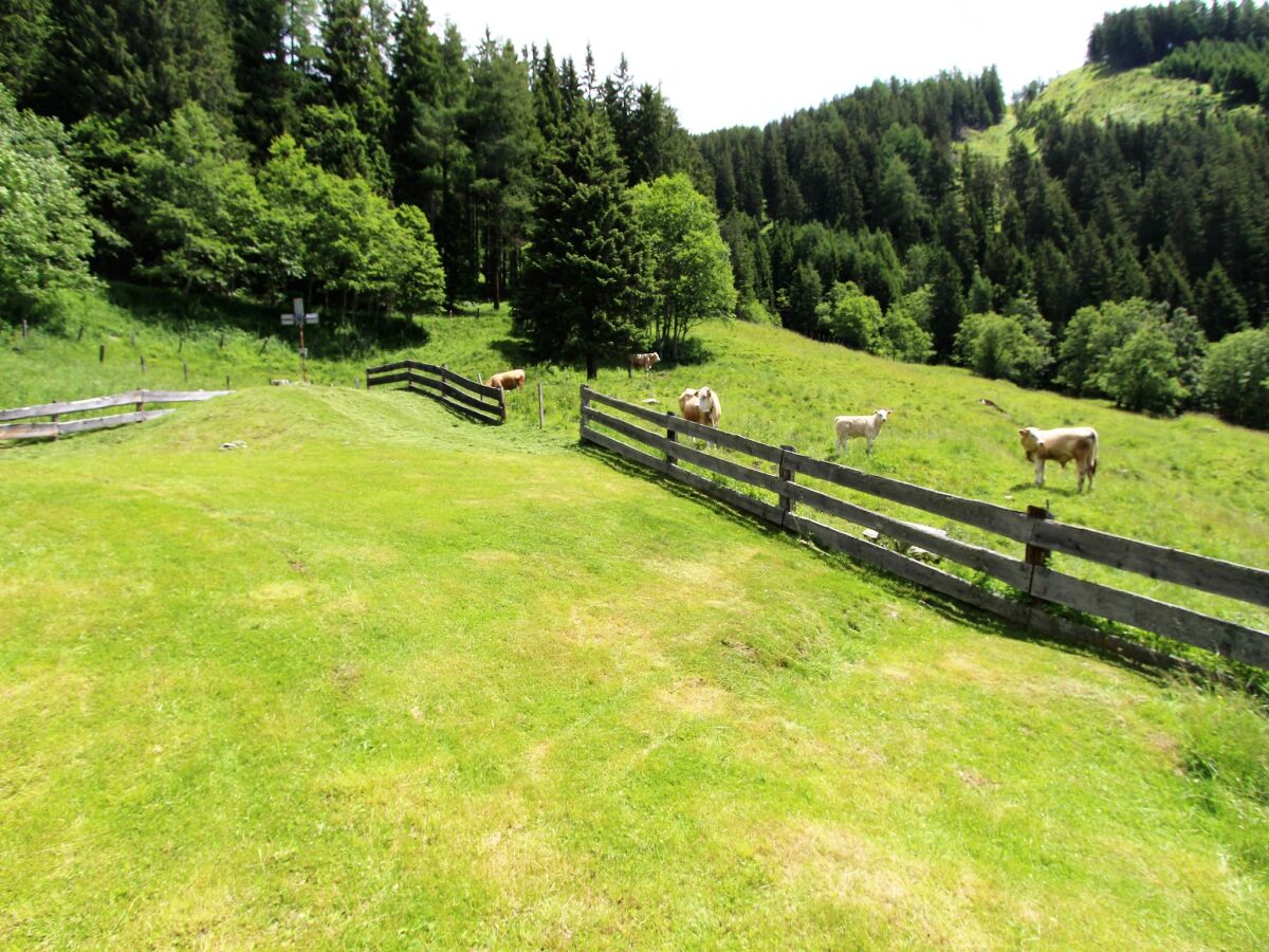 Chalet Reißeck Außenaufnahme 8