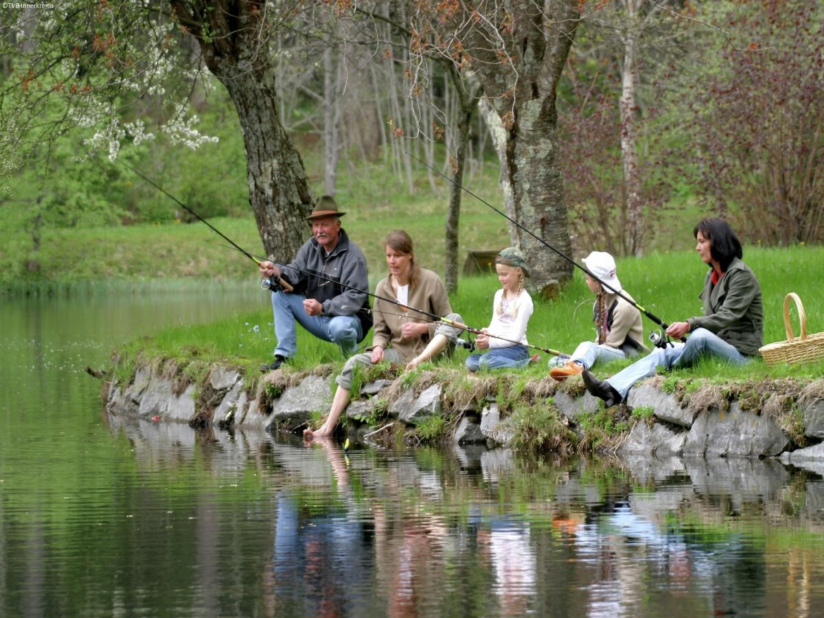 Ferienhaus Gmünd in Kärnten Umgebung 20