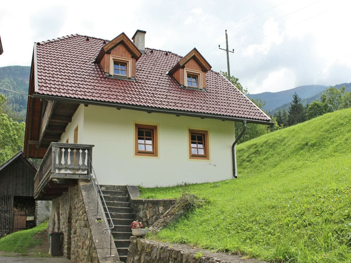 Vakantiehuis Gmünd in Kärnten Buitenaudio-opname 1