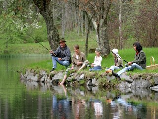 Vakantiehuis Gmünd in Kärnten Omgeving 21