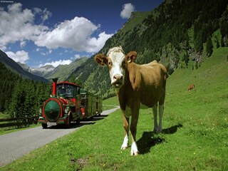 Casa per le vacanze Rennweg am Katschberg Ambiente 30