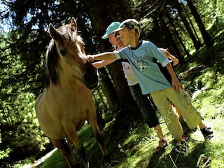 Ferienhaus Rennweg am Katschberg Umgebung 34