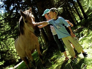 Casa de vacaciones Rennweg am Katschberg Entorno 36