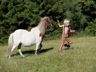 Appartement Rennweg am Katschberg Omgeving 38