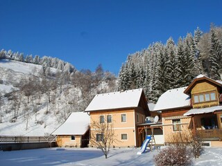 Appartamento Rennweg am Katschberg Registrazione all'aperto 4