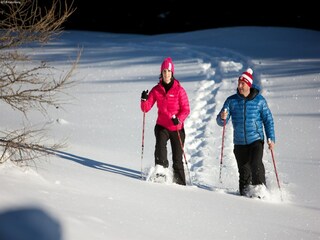 Apartment Rennweg am Katschberg Environment 20