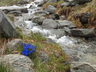 Appartamento Rennweg am Katschberg Ambiente 15