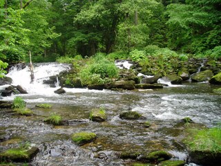 Bärenloch Wanderweg am Osterbach