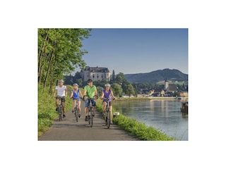 Radwege an der Donau.