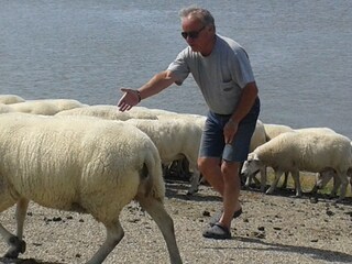 Natur pur direkt am Wasser