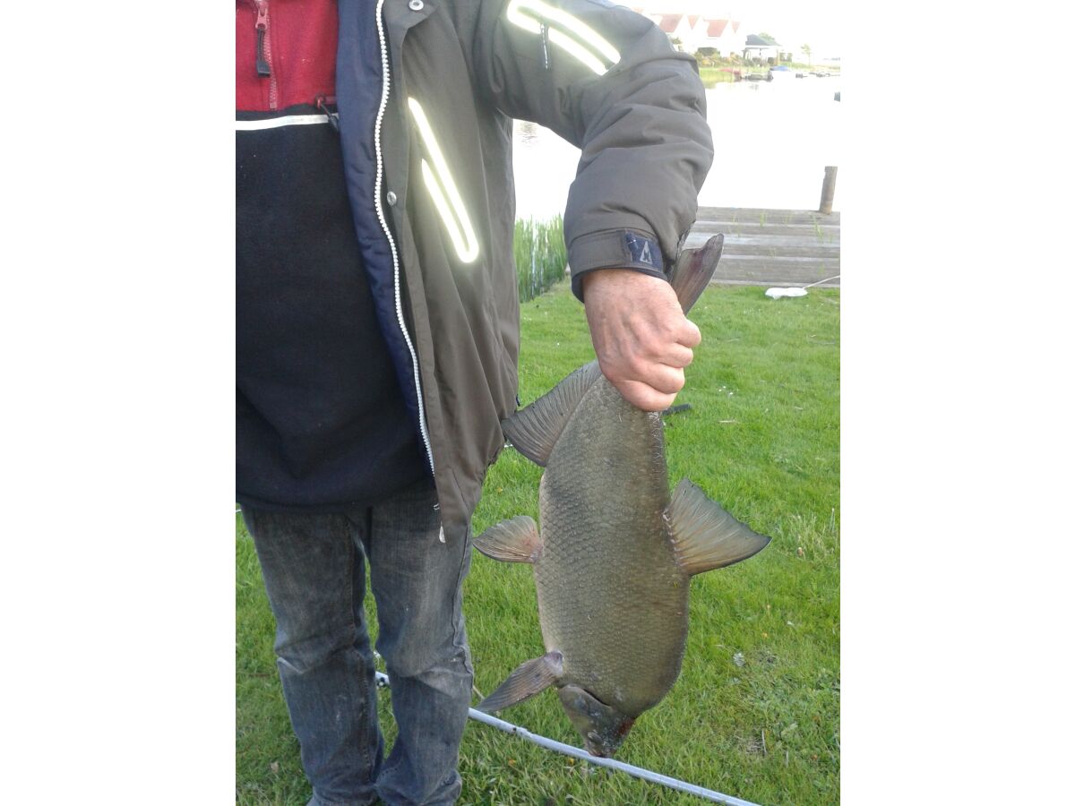 Holiday house Villa Sonnenschein - Outdoor photo 7