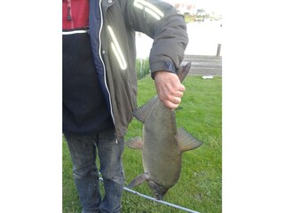 Vakantiehuis Makkum Buitenaudio-opname 8