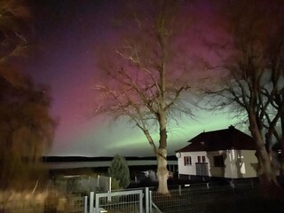 Nordlichter in unserem Garten