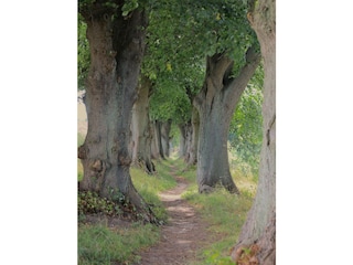 Fußweg zum Strandbad