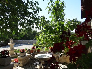 Apartamento de vacaciones Porec Grabación al aire libre 5