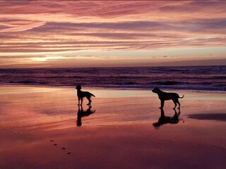 Appartamento per vacanze Zandvoort Ambiente 7