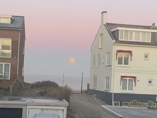 Holiday apartment Zandvoort Outdoor Recording 2