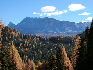 Appartamento per vacanze St. Martin in Thurn Ambiente 15