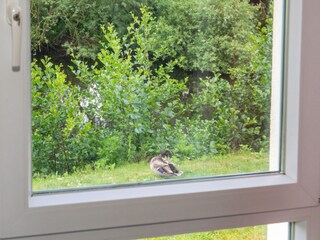 View from the kitchen window of the canal