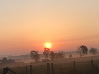 Eifel im Nebel