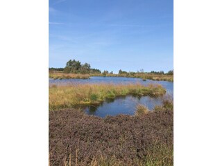 Im Hohem Venn Belgischer Naturpark