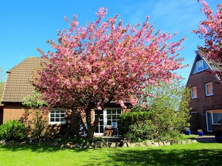Gartenanlage Uus Hus