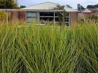 Maison de vacances Schoorldam Environnement 6