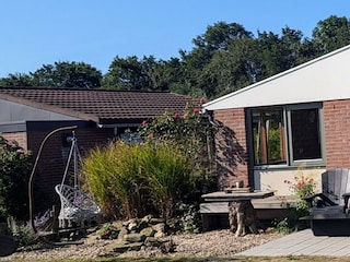 Maison de vacances Schoorldam Environnement 9