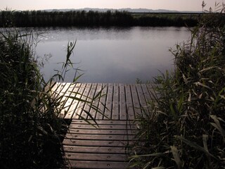 Casa per le vacanze Schoorldam Ambiente 20