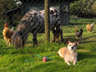 Casa per le vacanze Schoorldam Ambiente 22