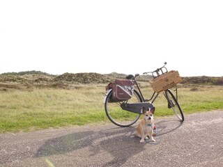 Casa per le vacanze Schoorldam Ambiente 25