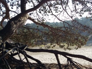 Casa per le vacanze Schoorldam Ambiente 26