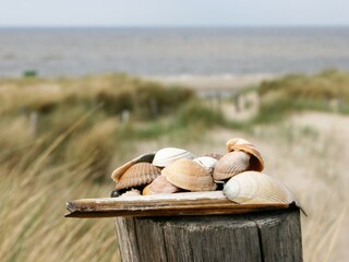Casa per le vacanze Schoorldam Ambiente 30