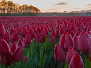 Appartamento per vacanze Egmond aan Zee Ambiente 23