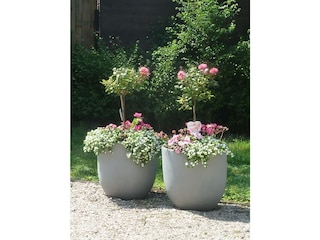 Chalet Makkum Außenaufnahme 4