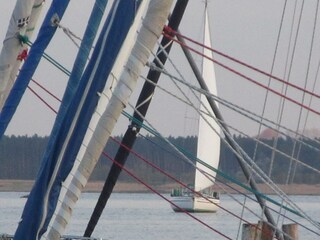 Appartamento per vacanze Rerik Ambiente 23