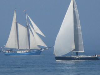 Appartamento per vacanze Rerik Ambiente 31