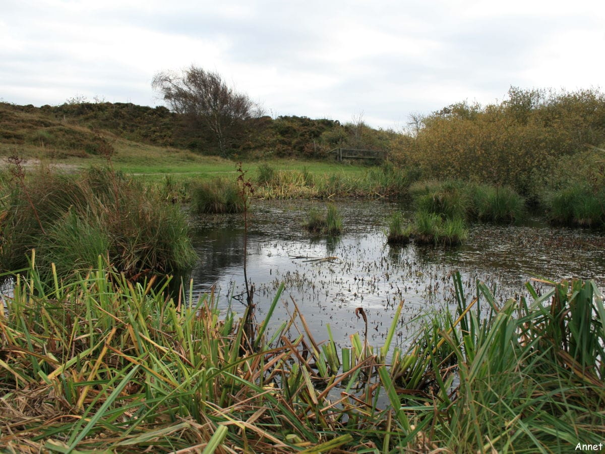 Naturschutzgebiet 't Zwanenwater