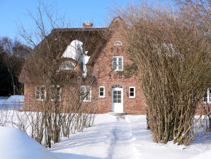 Ferienwohnung "Odde" im Haus Hilligenlei - Norddorf - image1