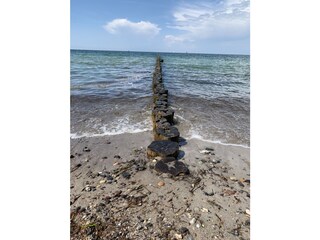 Holiday house Prerow Environment 37