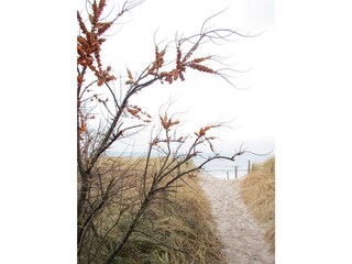 Holiday house Prerow Environment 38