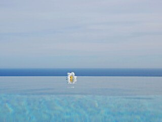 Villa La Croix-Valmer Piscina 37